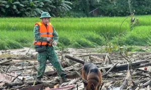 Thêm 3 chó nghiệp vụ vào Làng Nủ Thêm 3 chó nghiệp vụ vào Làng Nủ